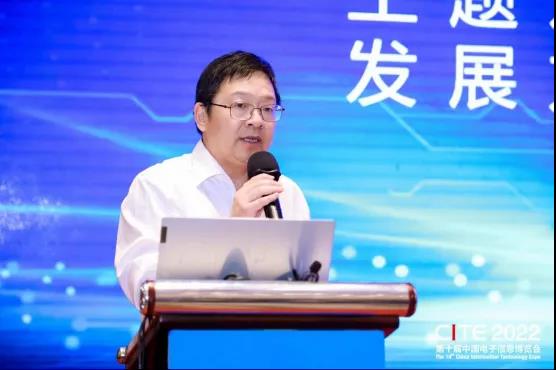 中国电子信息博览会组委会秘书长陈雯海